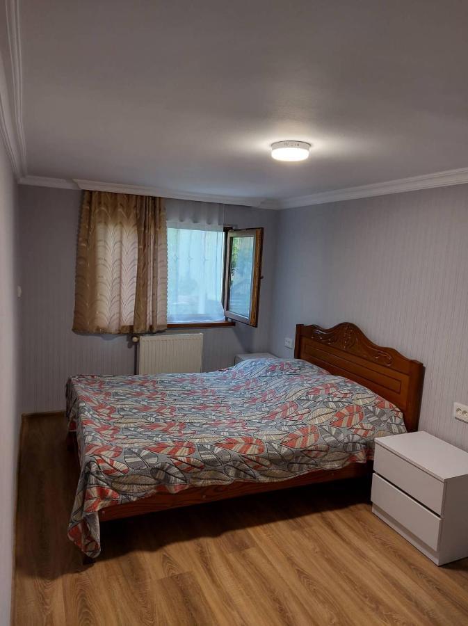 Davids Entire Place Боржоми Экстерьер фото